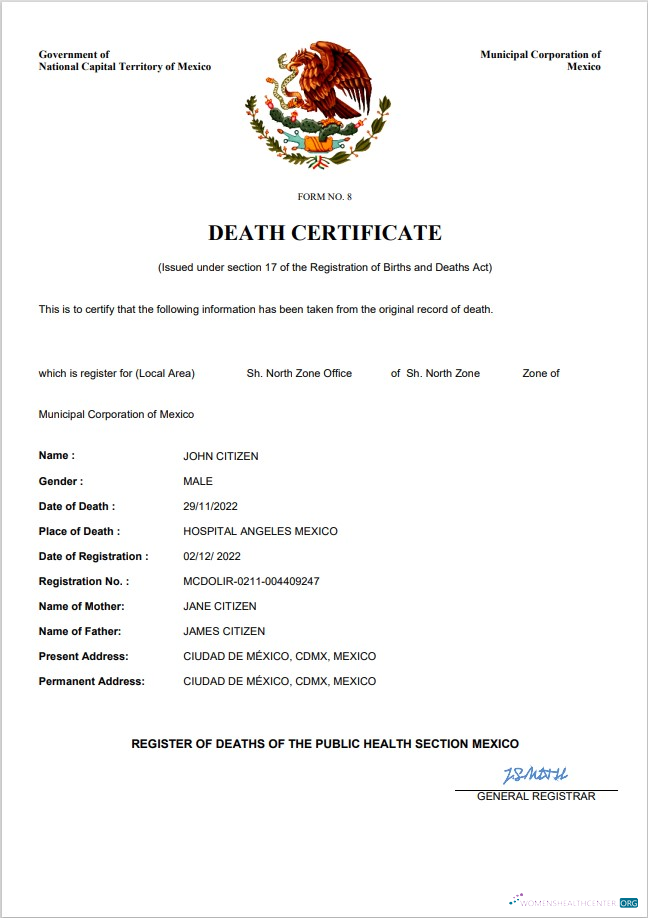 Download Mexico vital record death certificate Word and PDF template Photoshop template